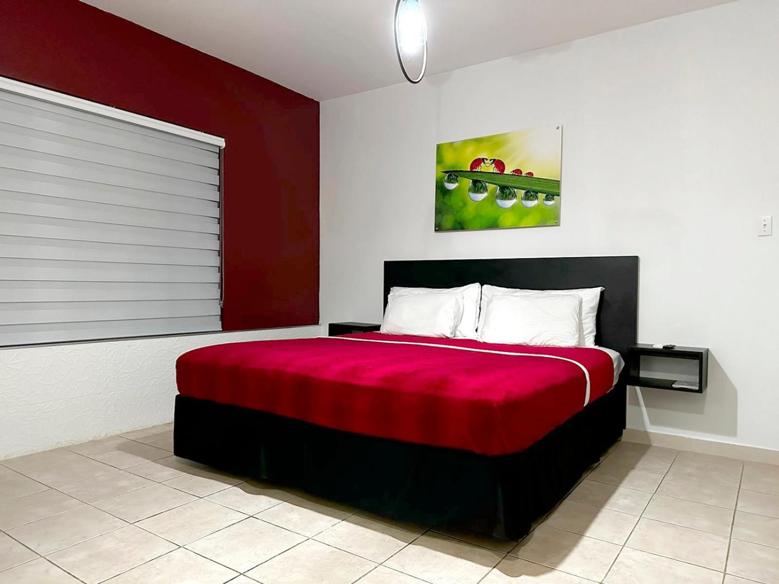 Ladybugs Apartments Palm Beach Bagian luar foto