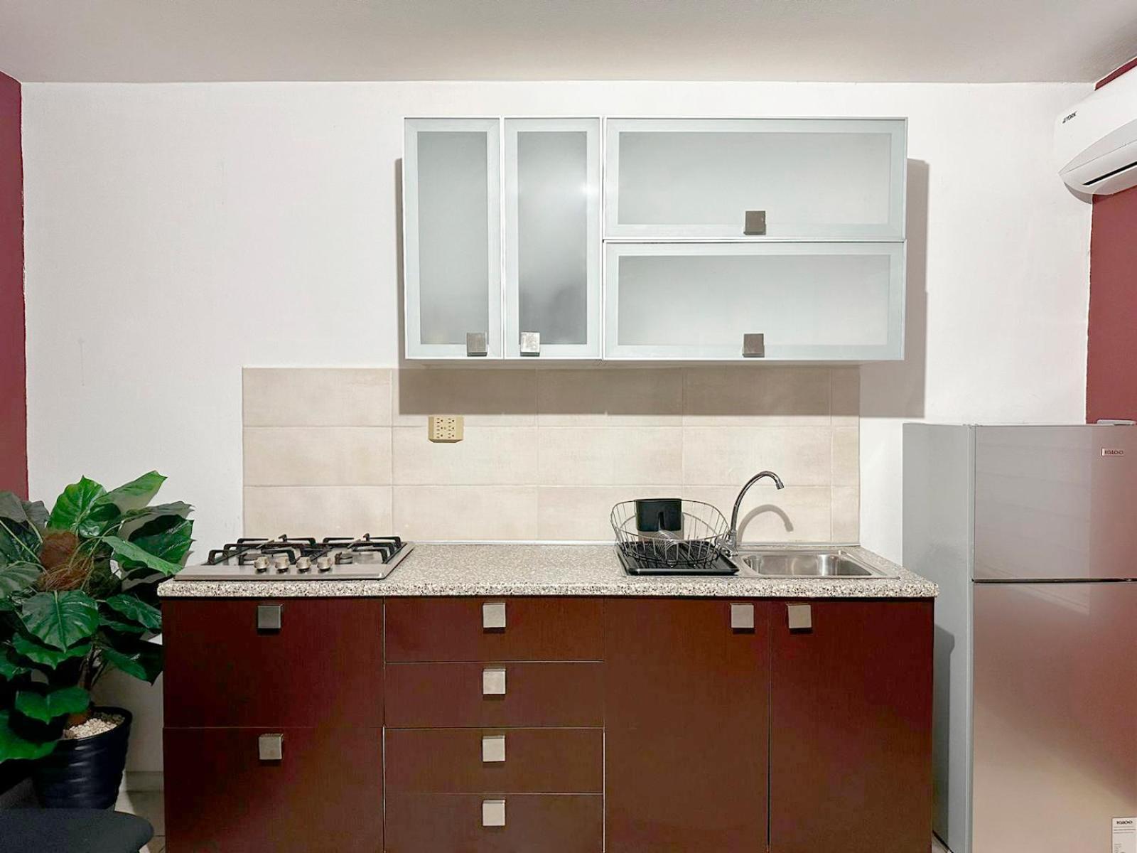 Ladybugs Apartments Palm Beach Bagian luar foto