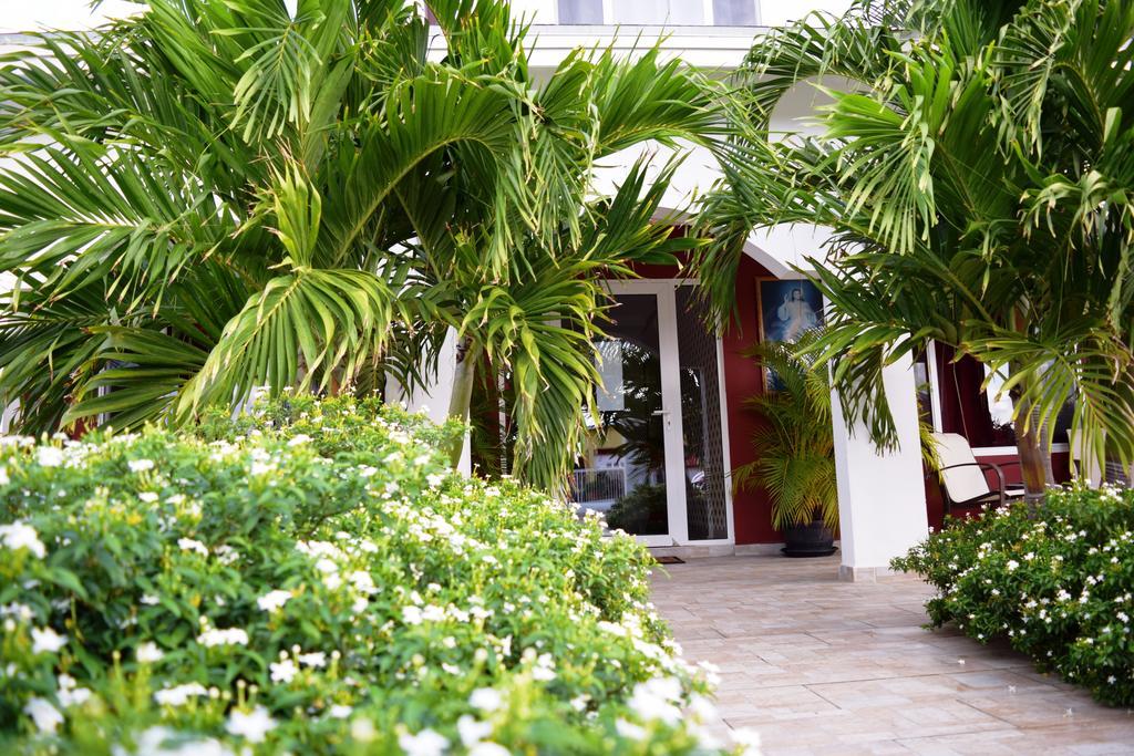 Ladybugs Apartments Palm Beach Bagian luar foto